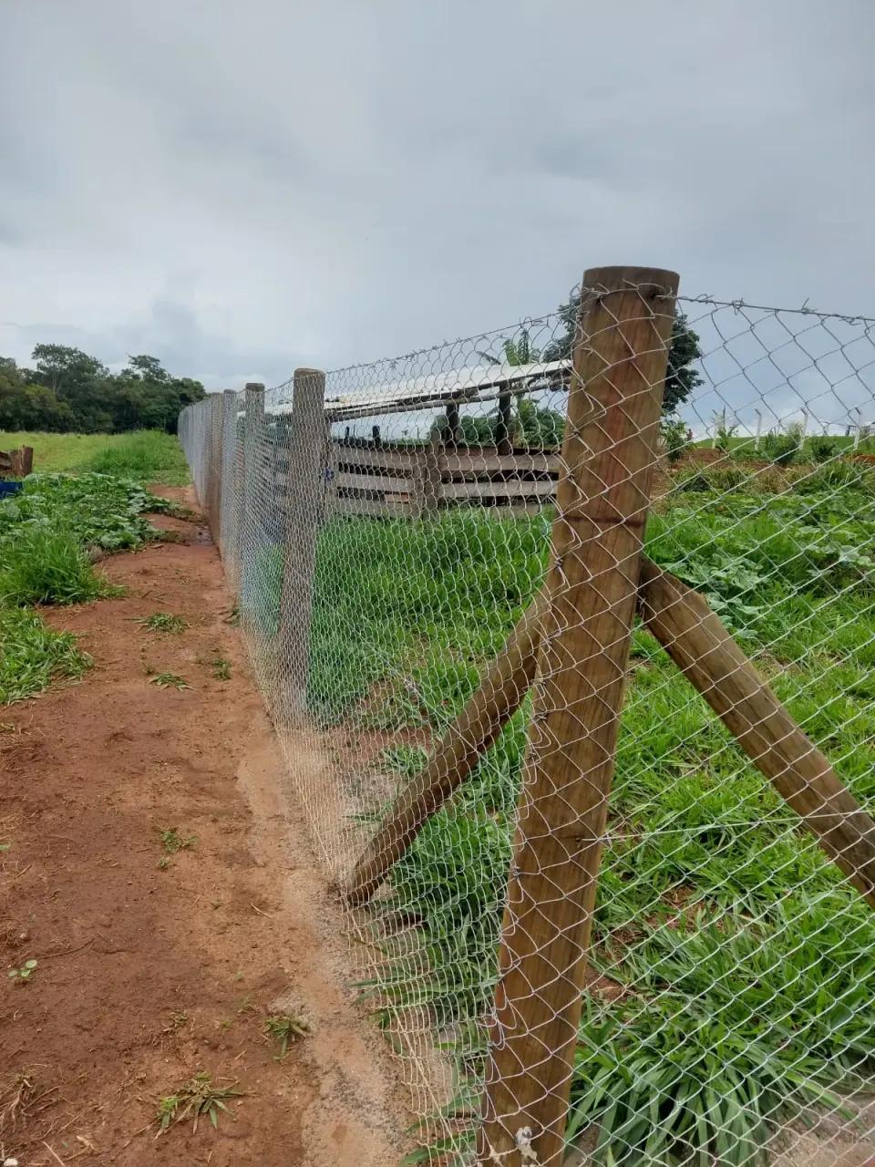 Construção de alambrado - foto 12