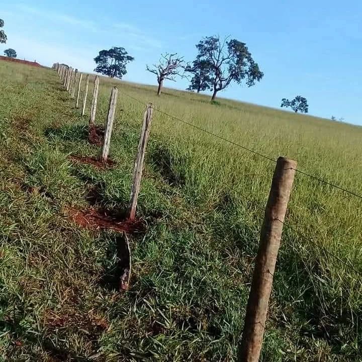 Construção de cerca de arame liso - foto 5