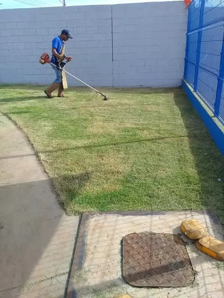 Poda de grama