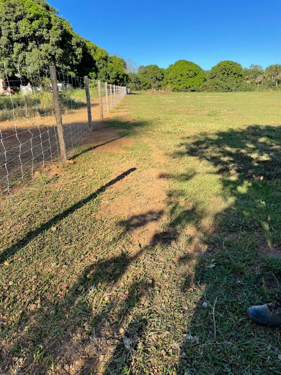 Instalação de tela JavaPorco - foto 3